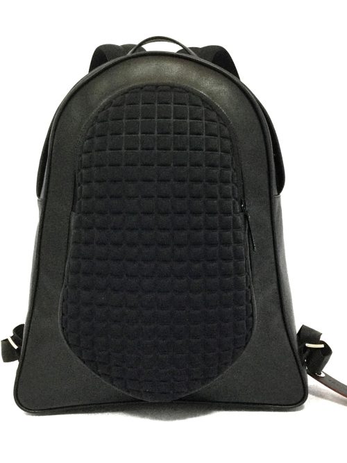 Classy backpack