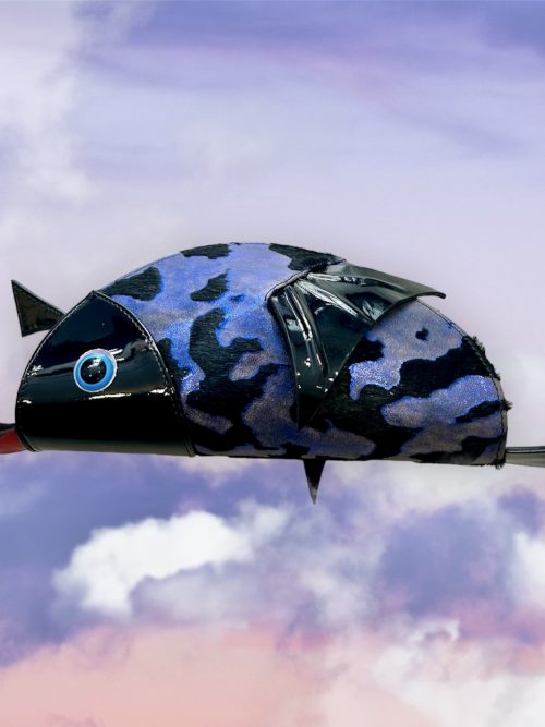 Evening fish